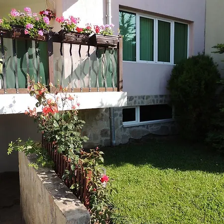 Большая Квартира В Варне Apartman